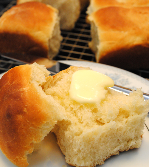 Dinner Rolls