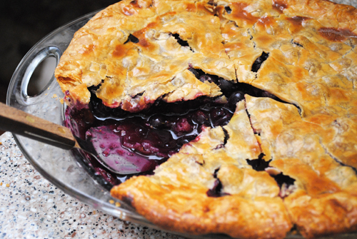 Blueberry Pie